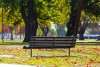 An empty bench sits in a park with fallen leaves all around